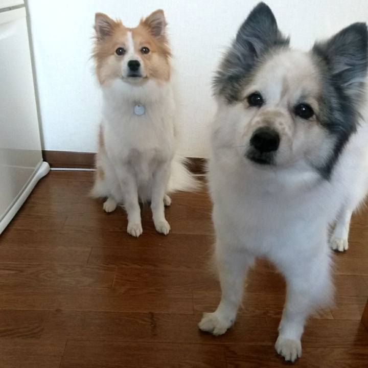 66a96c33 4c03 4d15 8f32 679205197444 1556542270918