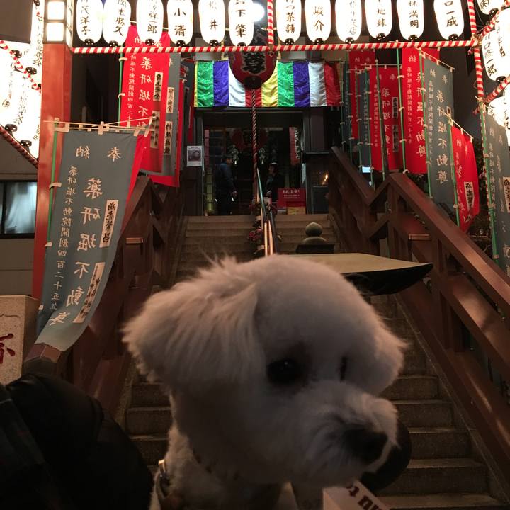 66a974e7 213d 4a45 8d21 6295252c26fa 1514974994816