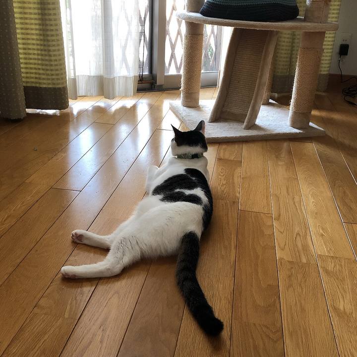 66a97824 6bab 446f a8ee 4749d716959e 1658615121460