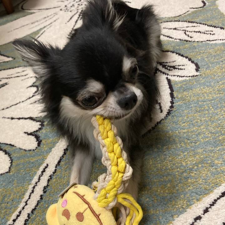 66a9c4fc 971c 4547 9b40 5d5a6db70a4a 1625924088159