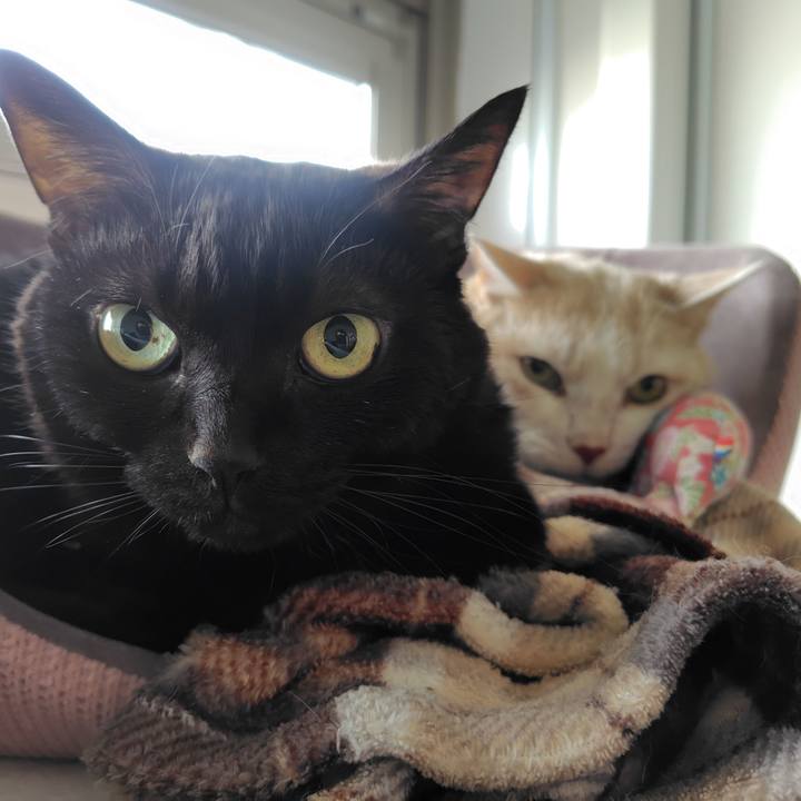 66a9d36a 0435 46ae 8f12 6ace65b73cd6 1735523957884