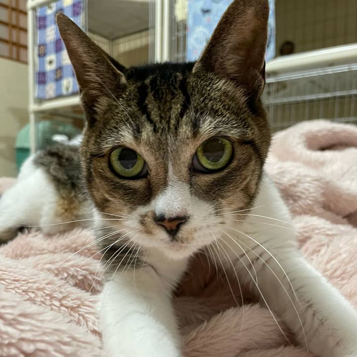 66aa0bd3 657f 4eee 9be5 57527bf90a36 1635731676234