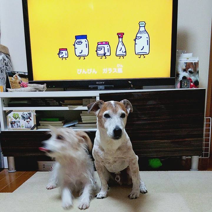 66aa7301 f910 4f39 8b89 95dc2331a84b 1582583859373