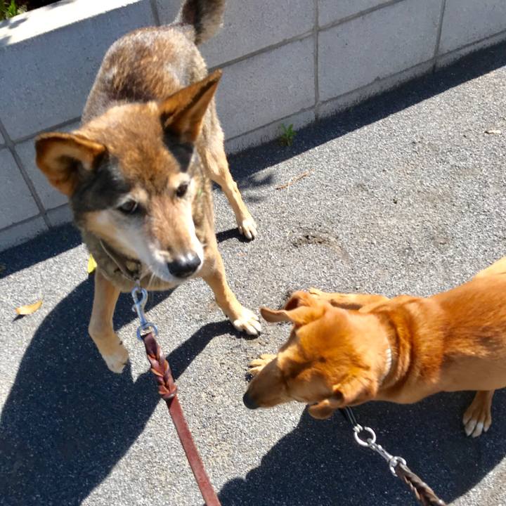 66aa7805 3098 4580 8602 0500b1849c6b 1524705274924