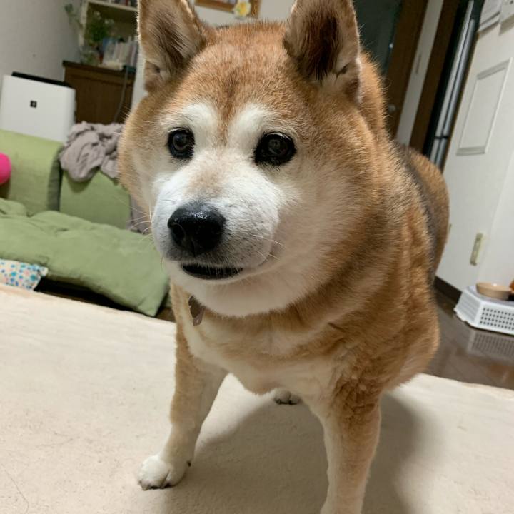 66aa8a35 8c8d 46a6 b704 6e82cd963892 1594291291174