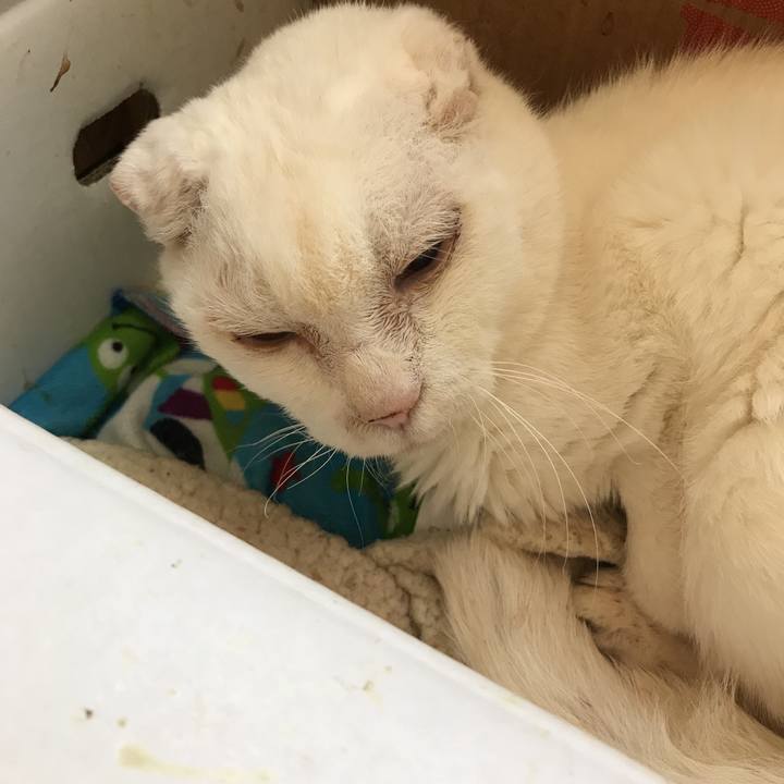 66aac5c1 69d6 4bea bb40 15d23d6eaa9f 1554253374620