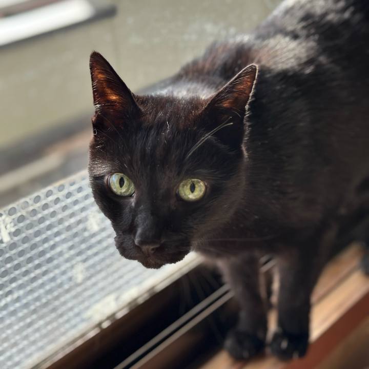 66aadfc7 1e23 4bc2 8c74 1bb7c826fa48 1681694648434