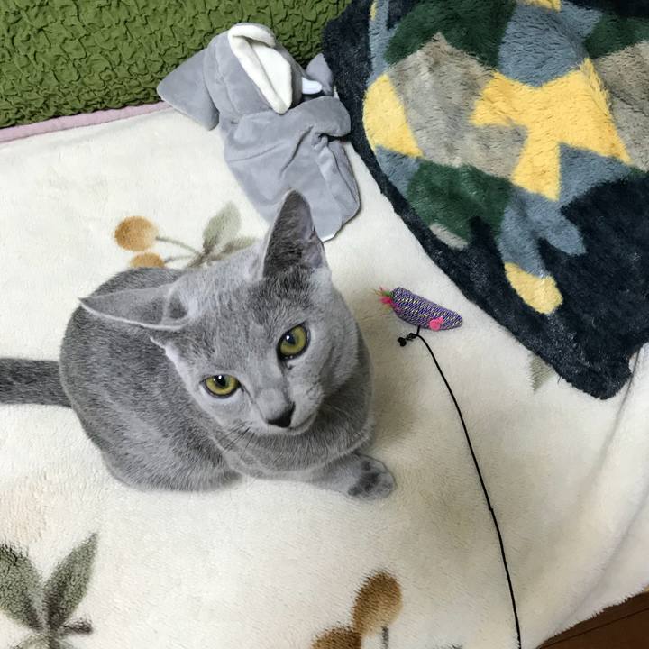 66aae580 9a4d 414f ae61 86bf8e6f539b 1510309357568