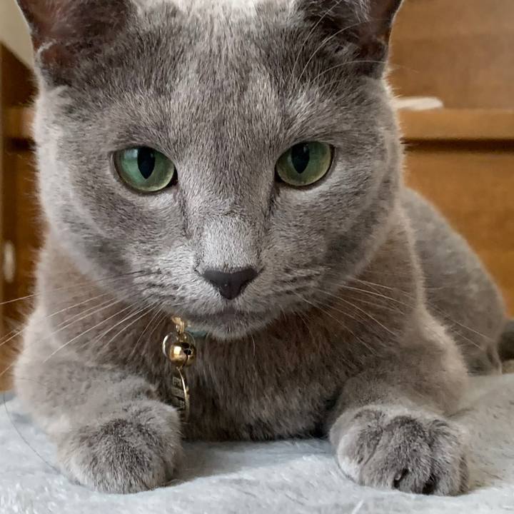 66ab642c a719 4ec2 8e8d d8dcfd4b625d 1659678194470