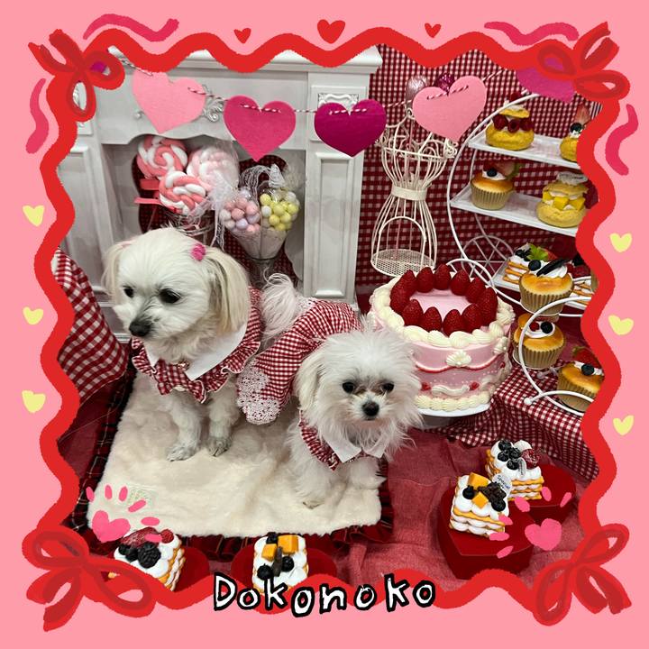 66ab7433 6447 4c2c aec2 d188b3a4e6aa 1707222447369