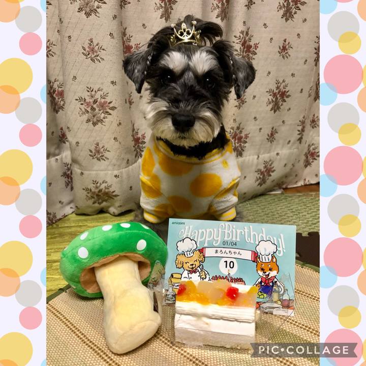 66ab7440 cfff 4b6d a2a2 4eab532af5ce 1704371561409