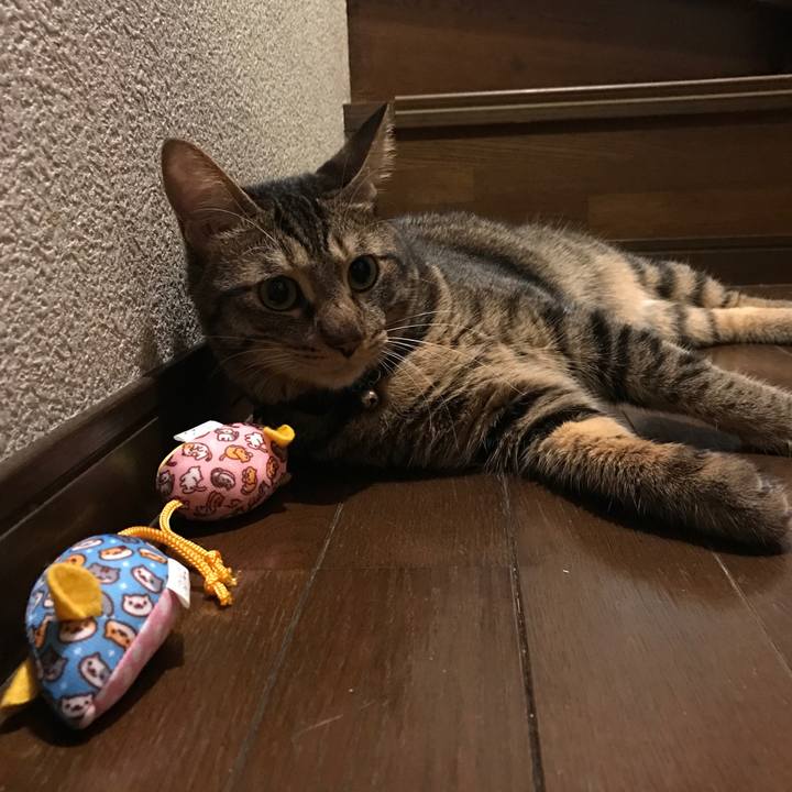 66abdc42 56dd 4ad9 afd6 fa6c33aaf3fb 1563551476829