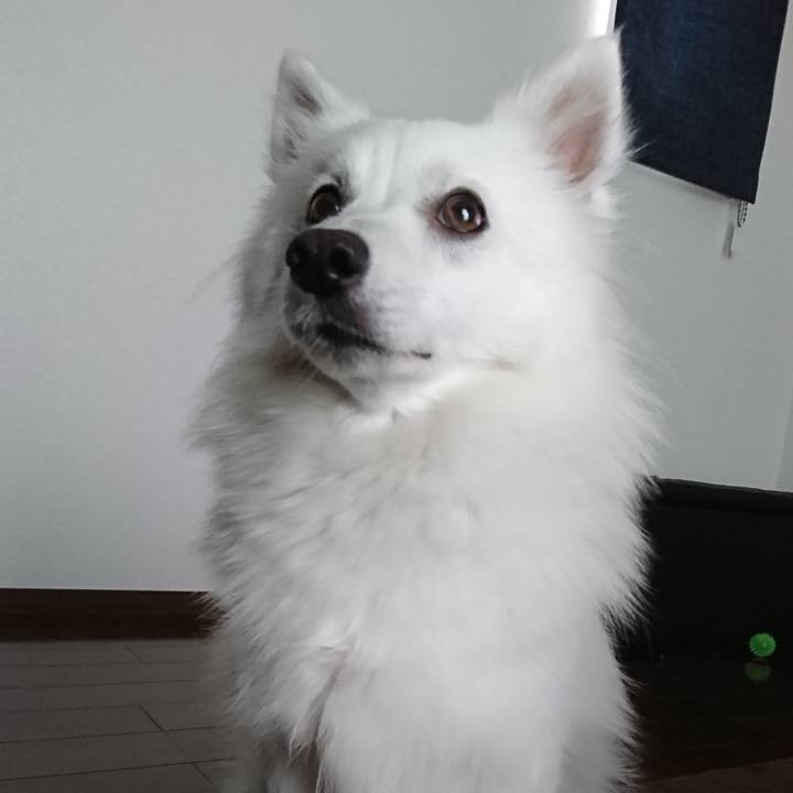 66abe5af ad9e 4f70 b11a e0711df56ef3 1528949315431