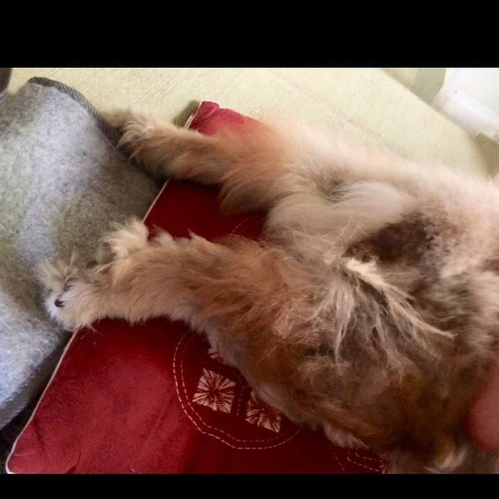 66abe9f4 0877 4f85 ac0e ebd75773828f 1555375184288