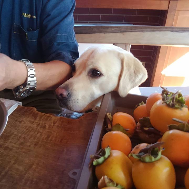 66abfac7 6722 4635 9921 048952b75706 1509778048147