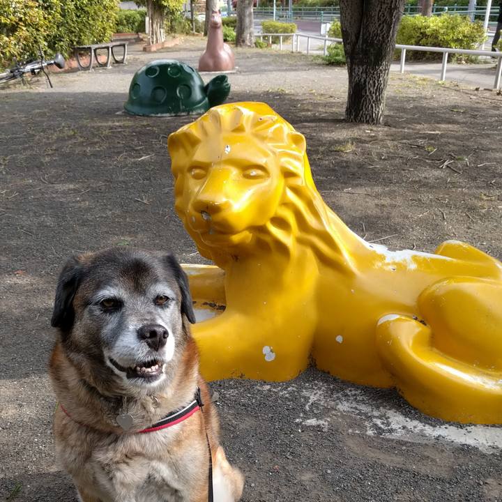 66ac030c 5a59 42e5 b23b 8b7a84e89032 1523491083296