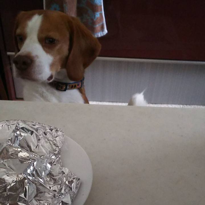 66ac1636 91e6 4337 b55a 8897f963bbcc 1590562548134