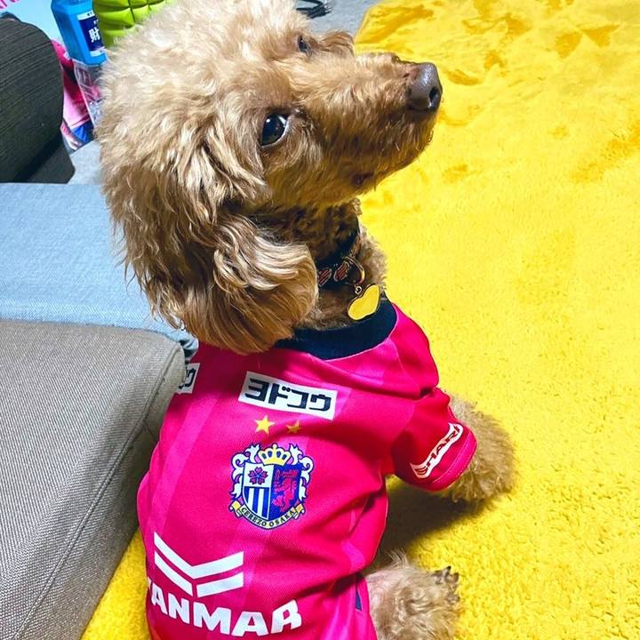 66ac44b9 108f 4350 8f89 c1e8ae9064f7 1652244970139