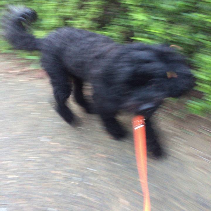 66ac491a b393 4670 b79c 1d522a0872f0 1529989576987