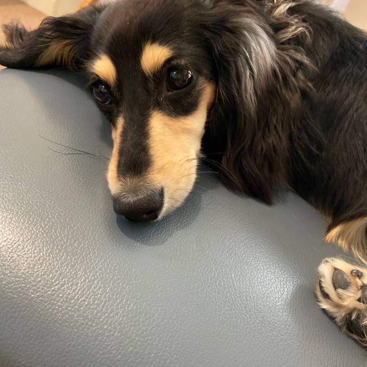 66ac6c2e e151 453d b5c5 80b54289daf4 1683512376958