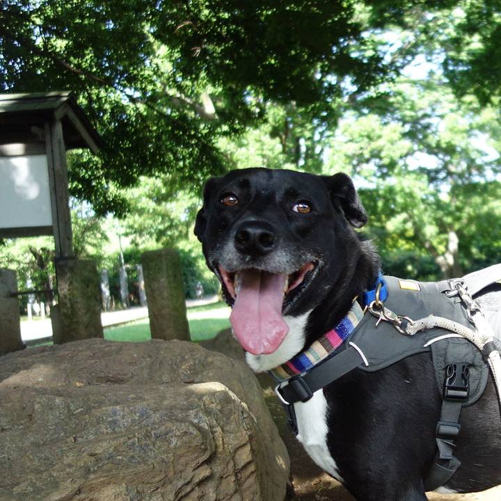 66ac6c3b 5588 458a 9edb ec2279d32b07 1654044411670