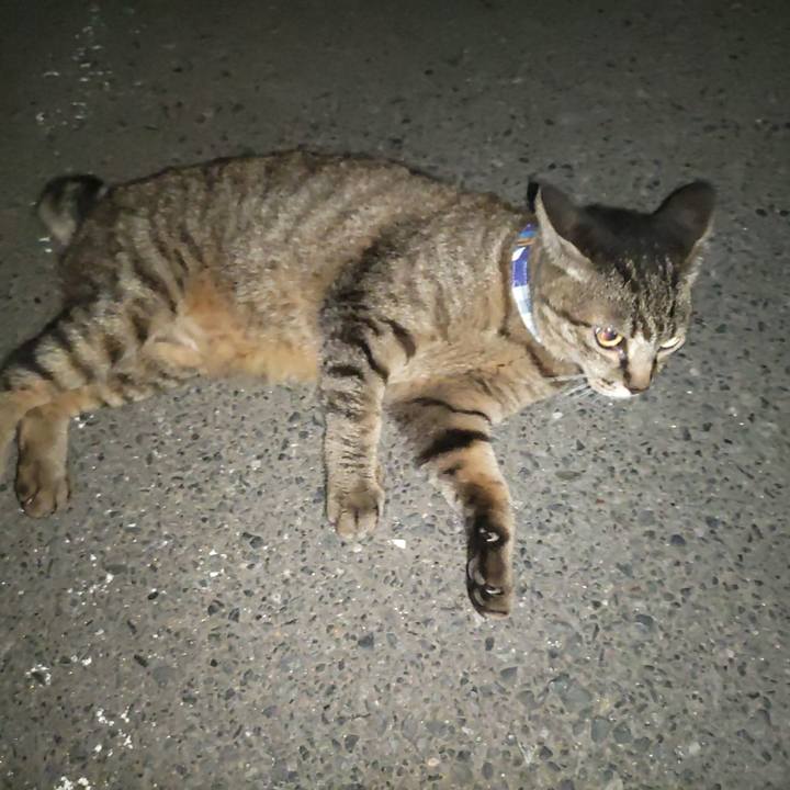 66aca2c1 e29d 4bfc b945 a6a16d3d7bd0 1691162279186