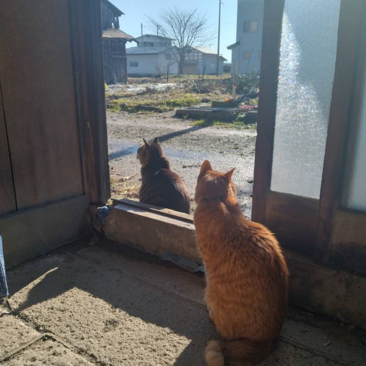 66ace1f1 bbbd 4b2b ada5 885633e00c46 1766123238945