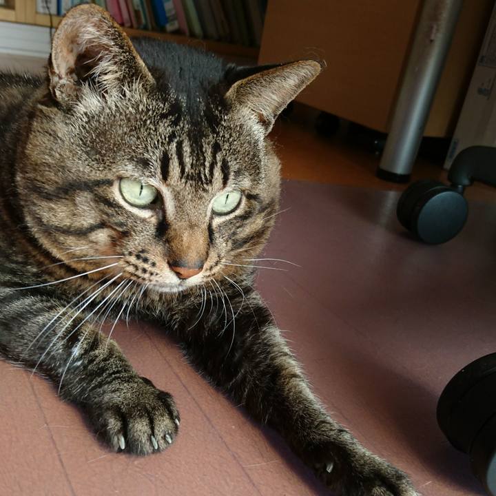 66ace280 71d9 48e0 904c 042389523363 1534055539416