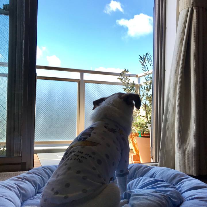 66ad5742 80d7 4ef9 b22a 9fd3f977722f 1564094741421