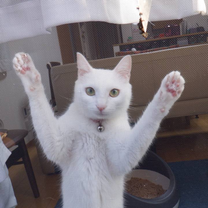 66ad6c88 be9d 4f48 9945 268e8fe5726c 1632361863552