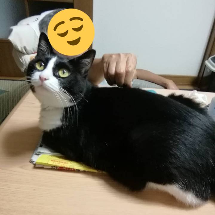 66ad933e 89b4 402d be9d 53af4f2acc75 1599106198144