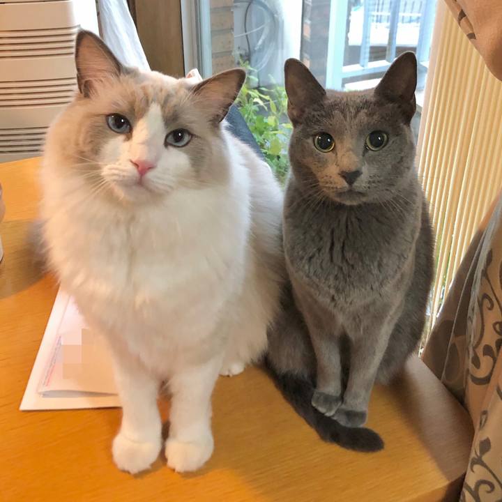 66add681 3fb6 4106 a3c9 96a76d3475e1 1603270110796