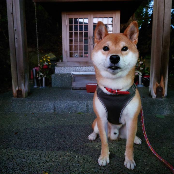 66adf8cf 56b1 4f45 916e 224dbbbb0ed1 1762250294028