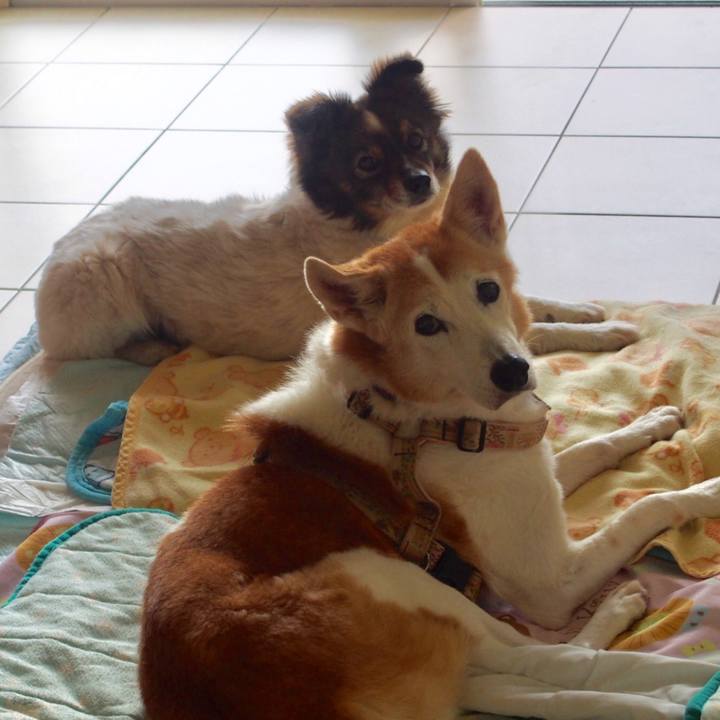 66ae5b1c 6cd5 44a9 9d30 7d4078bc0aee 1552367255004