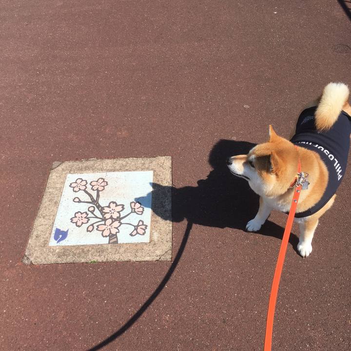 66ae7559 dea9 44e6 b0cb b81f14f07de6 1552105049513