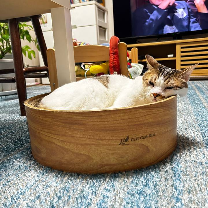 66ae856e 8bb0 447e b164 dc4d159a7deb 1757629116422