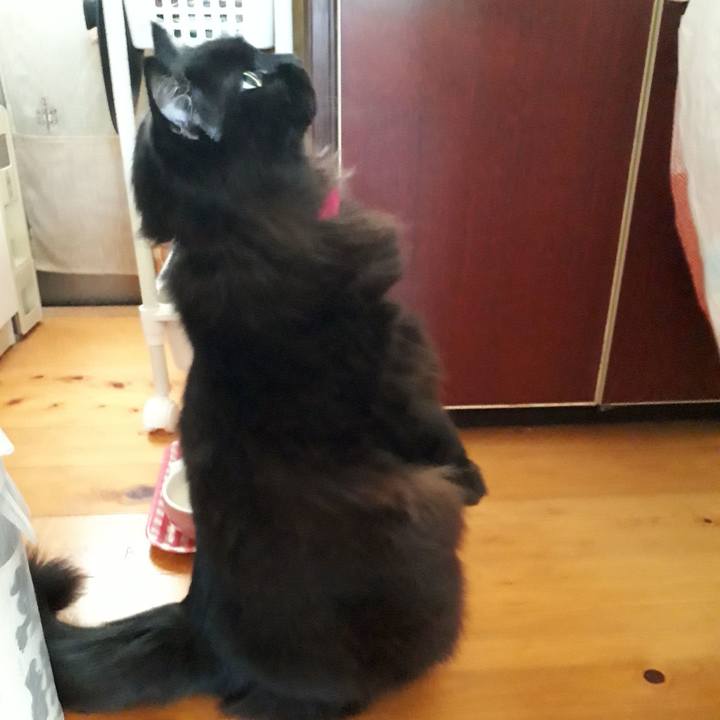 66aeaffb 73c8 40ca b81e d33283cbeeec 1533283641041