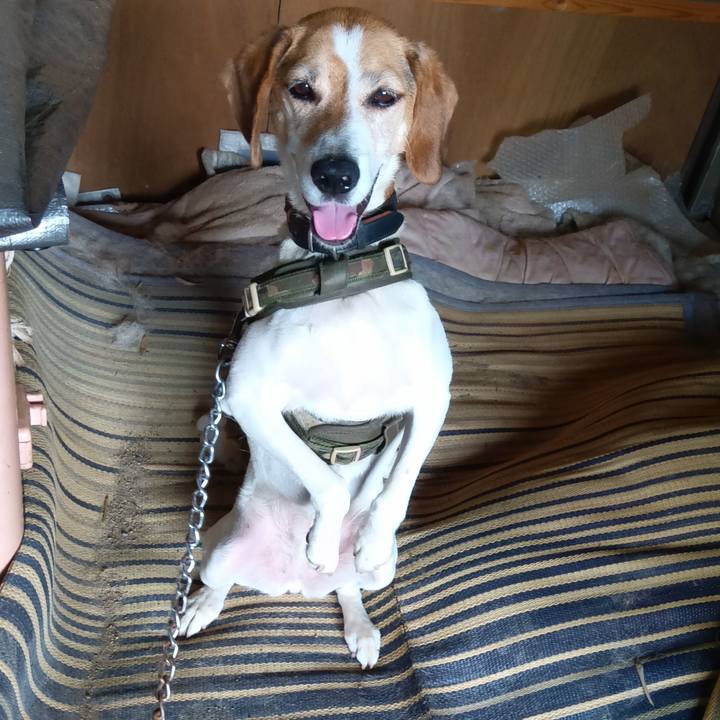 66aee72f c35f 4f36 8678 f99da2f06ba9 1720315141854