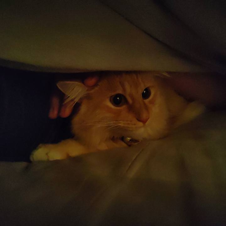 66aef3fb c467 42db 99d2 72b211e3cac5 1670537552938