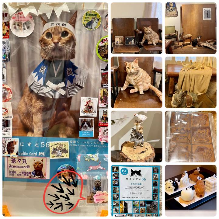 66af0b88 c2a0 43f7 bf33 89ca68e90279 1674252310326