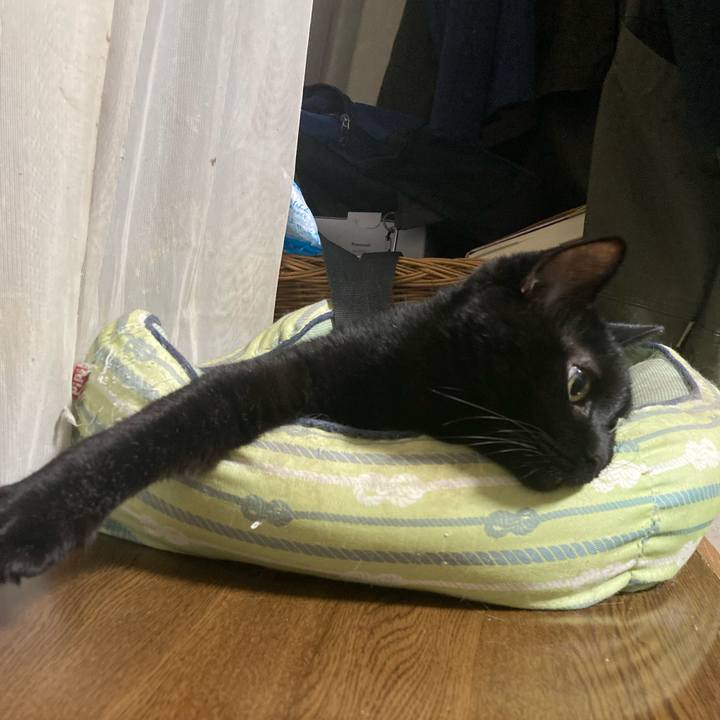 66af2f60 d5f6 4097 984e 97b50c115e5e 1755669355763