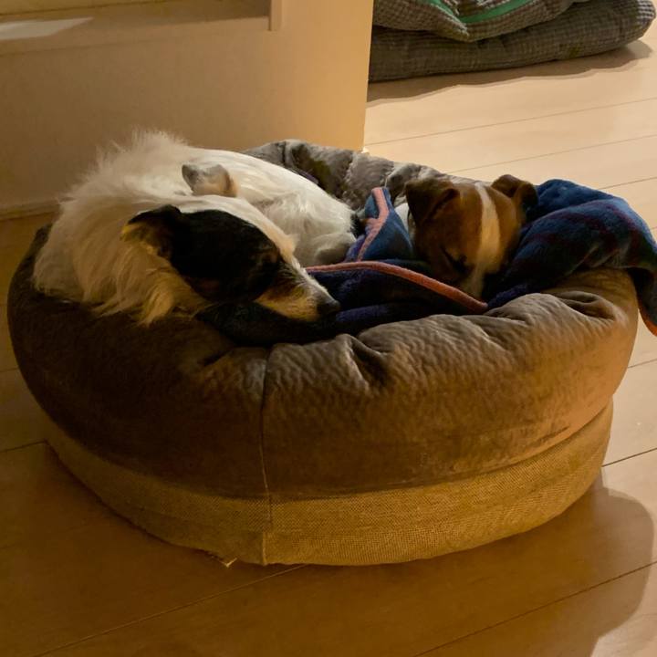 66af4549 7309 4868 9e38 b17f0c2522d5 1584284451705