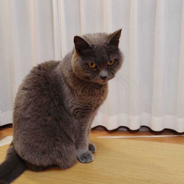 66af506b 6f39 4058 878f 9b176bae966b 1774353983871