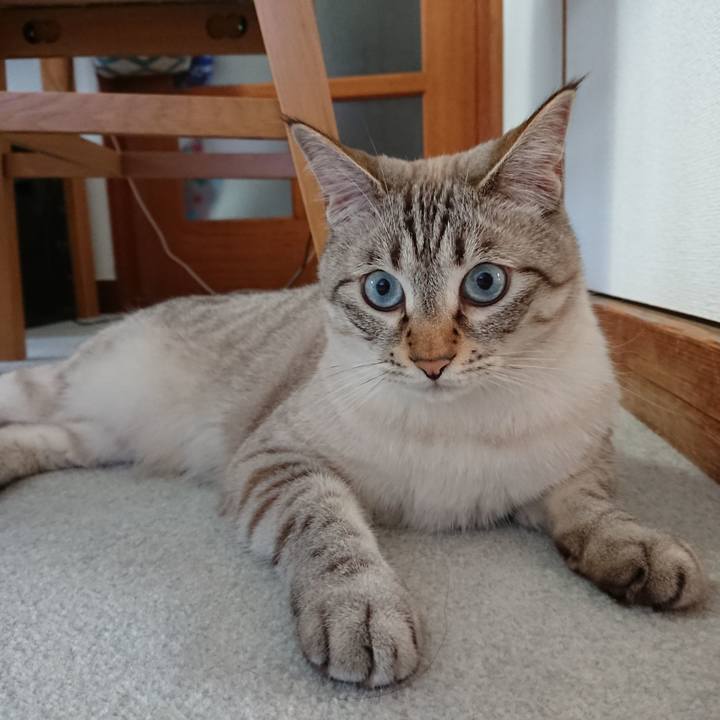 66afcf97 58e4 46d2 8342 af723852051a 1531261861366