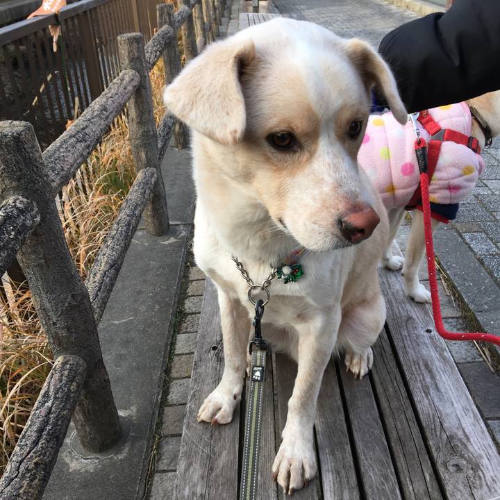 66afeb8e 734f 44a8 906d 7e2e88ef7195 1514345413738