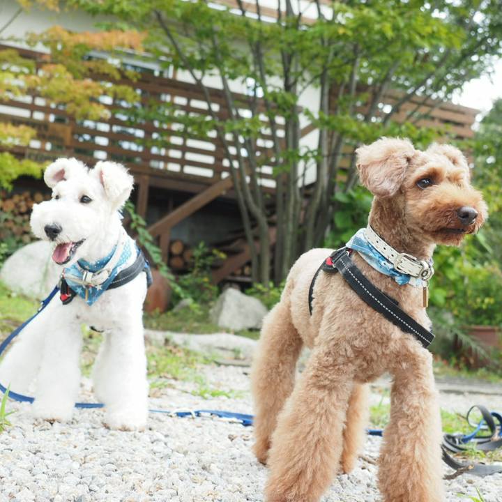 66b005e4 ebb1 412b 96c8 b4220f539c30 1537224076518