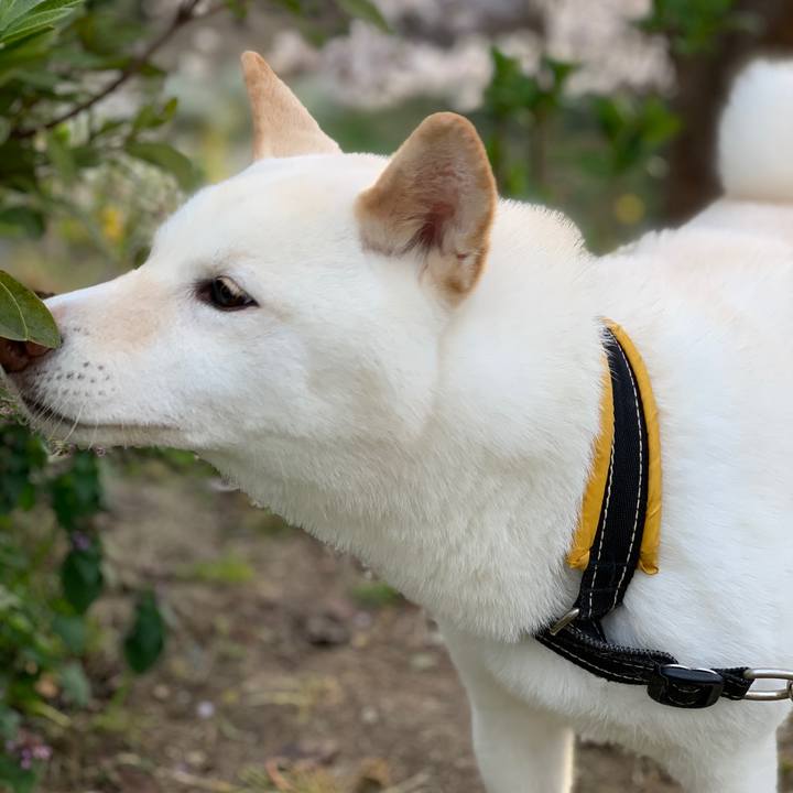 66b02a88 ad7c 4cda 98c6 ca1916ef4d61 1615117288500