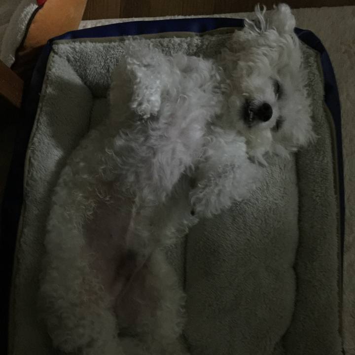 66b06453 a0ae 4ecd 9c5f db4c214b9758 1539603490263