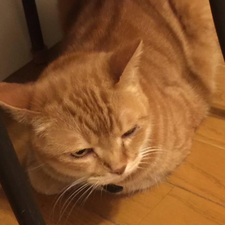 66b09262 0792 4730 9712 766e32382578 1558957376983