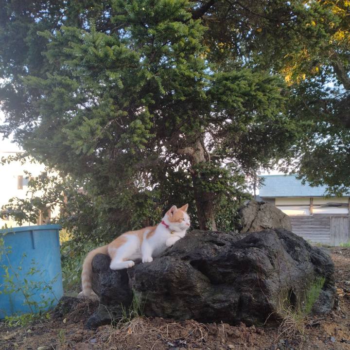 66b0a875 f39d 4751 b150 9a71f5d8e9fc 1753782230957